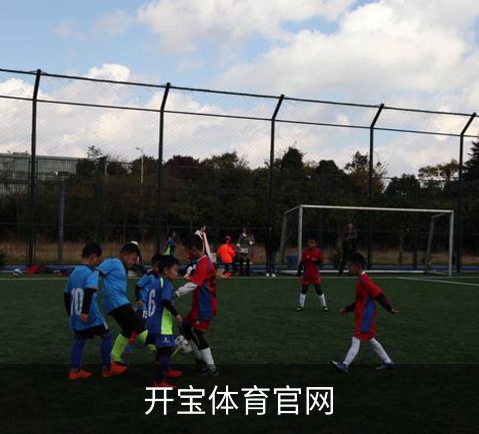 关于开宝体育官网